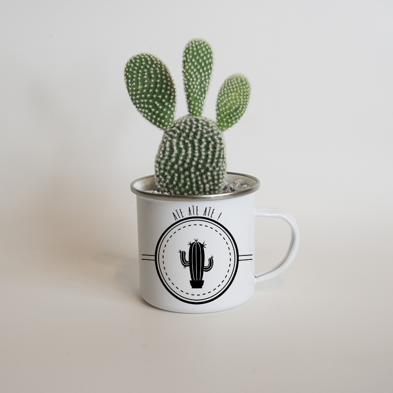 Cache pot pour cactus avec un mug émaillé cactus